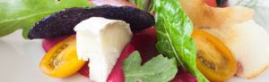 Turks and Caicos Gourmet Restaurants